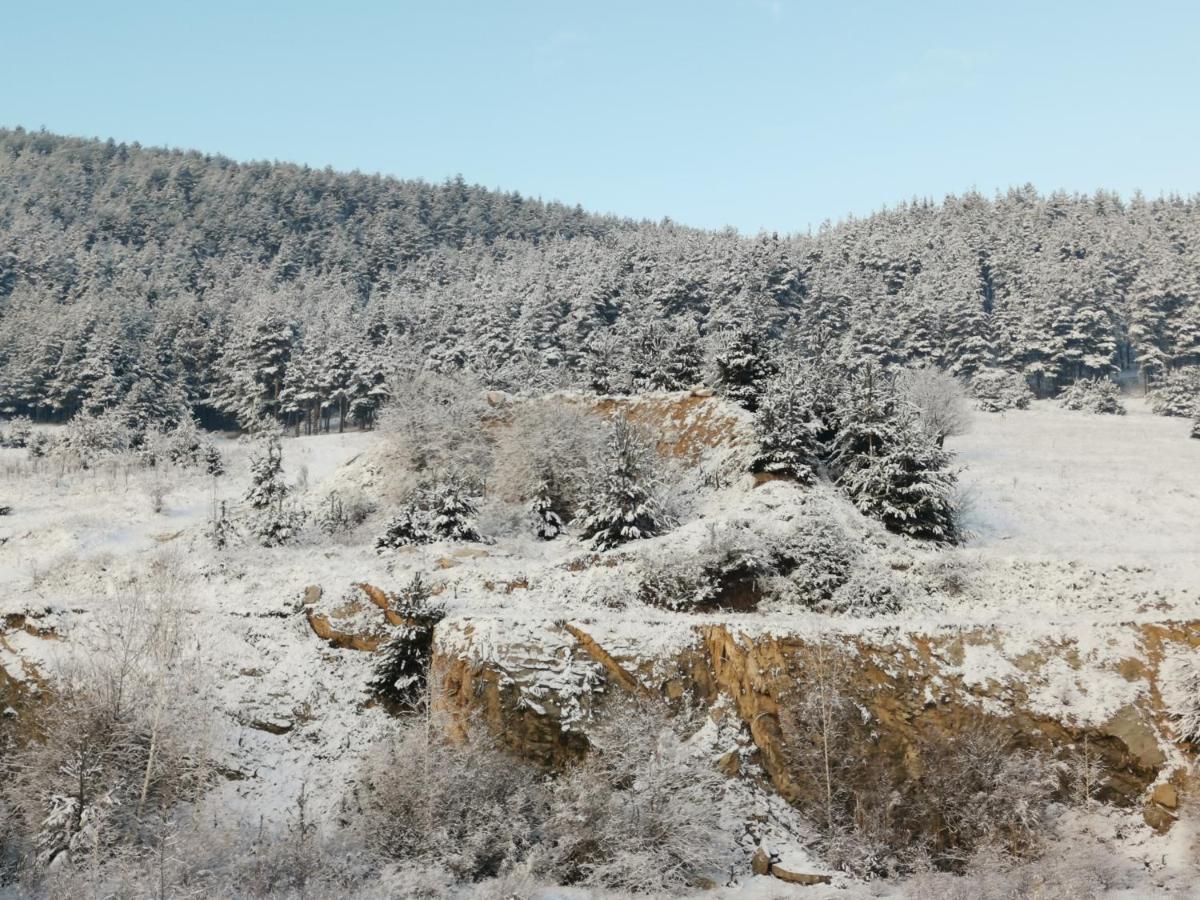 Арт Мезонет Salem Velingrad Exterior foto